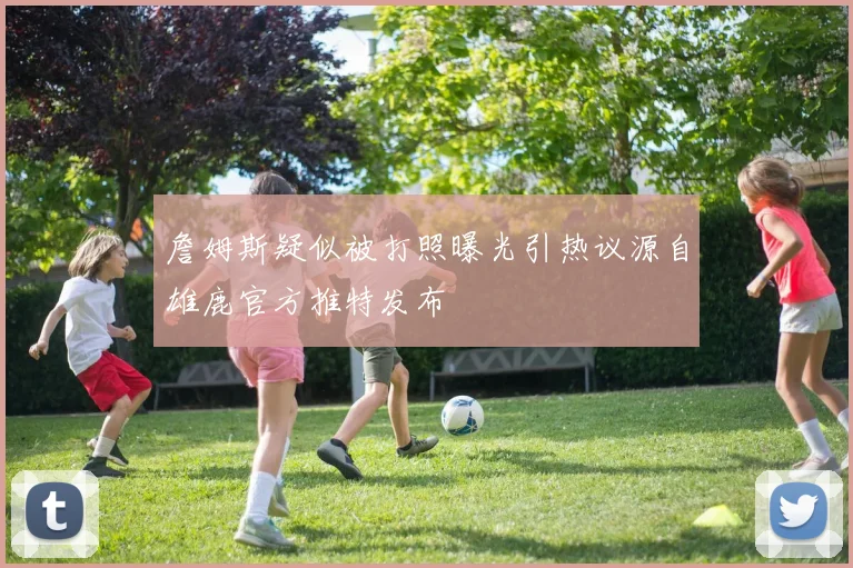 詹姆斯疑似被打照曝光引热议源自雄鹿官方推特发布