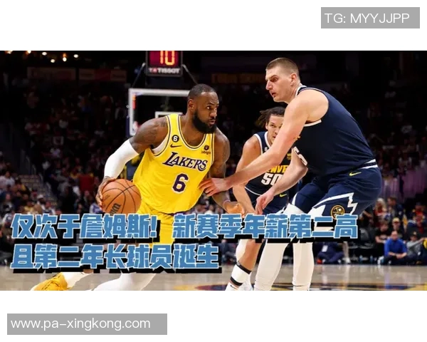 约基奇分享国际篮球经验：多样风格提升个人竞技水平与团队配合能力